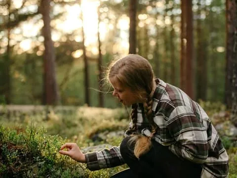 Forest Treasures Excursion with Outdoor Lunch