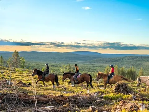 Summer Forest Horse Ride to the Hills