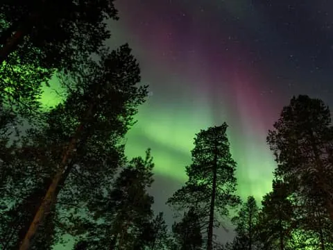 Autumn Aurora Camp in Muotka