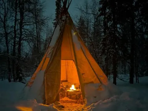 Lapland: A Day at a Traditional Log Cabin & Snowshoe Trek
