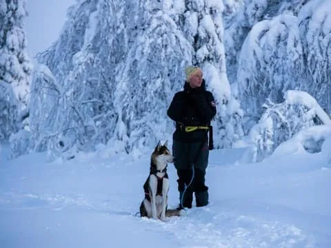 Snowshoeing Adventure in Lapland