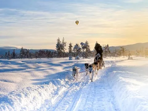 Levi: Self-Driven Husky Ride In Snowy Forest (5km)