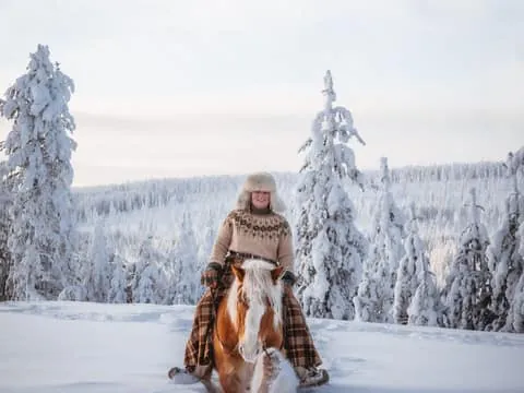 Winter Horseback Ride on Snowy Hills and Forests