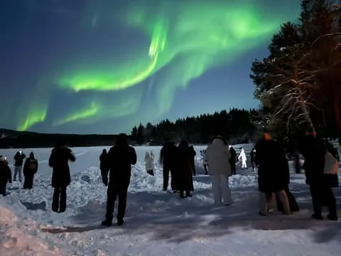 Northern Lights Tour with BBQ and Drinks