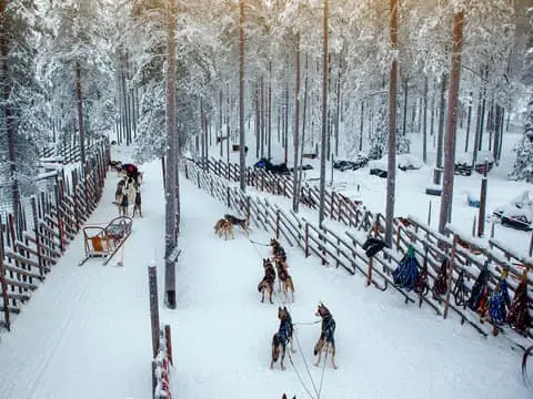 Reindeer & Husky Ride with Santa Claus Village
