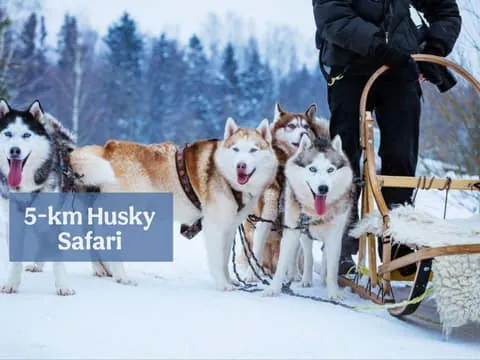 Levi: Magic Winter Trail 5 km Self-Drive Huskies Small Group