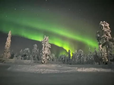 Levi: Northern Lights Hunt with Hot Drink