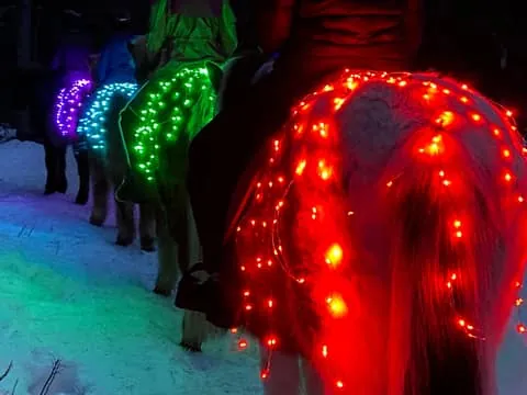 Levi: Glow Riding in the Winter Wonderland