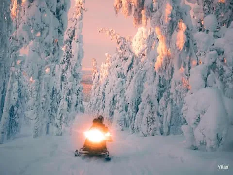 Ylläs: Snowmobile safari to forest kota with a family company