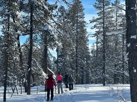 Snowshoeing Trek with Guide and Snacks
