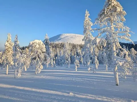 Snowshoe Hike to Kellostapuli and Gourmet Experience