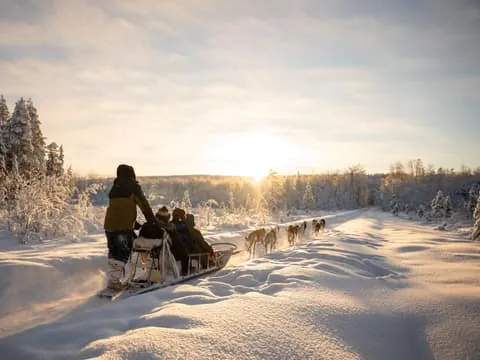 Husky Experience and Sled Ride with Pro Photos