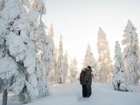 Private Photoshoot Experience in Lapland