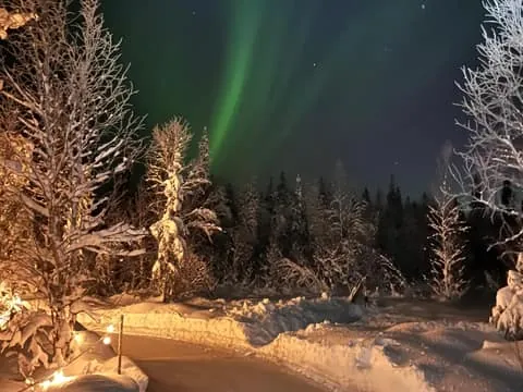 Levi: Lovimainas Arctic Forest Ice Skating (1km)