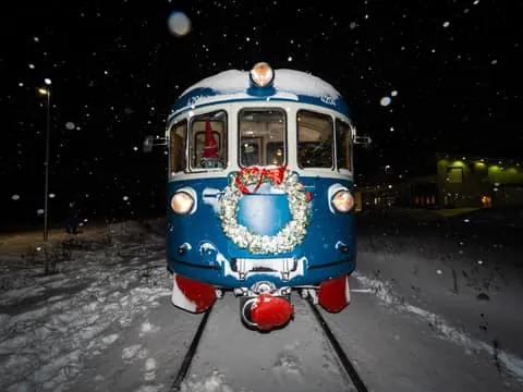 Rovaniemi Insider: Night train in Winter Forest