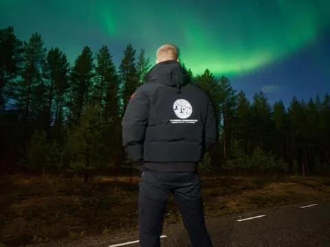 Rovaniemi: Private Aurora Tour