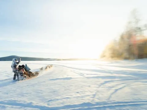 Insider 5km Husky Self-Drive Tour