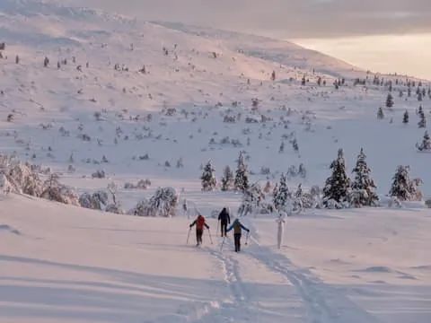 Ylläs: Backcountry Skiing Adventure in Lapland Wilderness