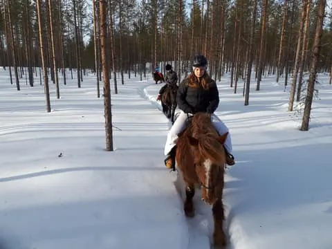 Simo: Private 2-Hour Horseback Riding Tour