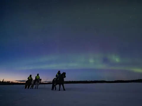 Levi: Aurora Riding Trek with Icelandic Horses