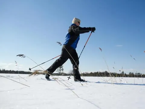 Guided Cross-Country Skiing Experience