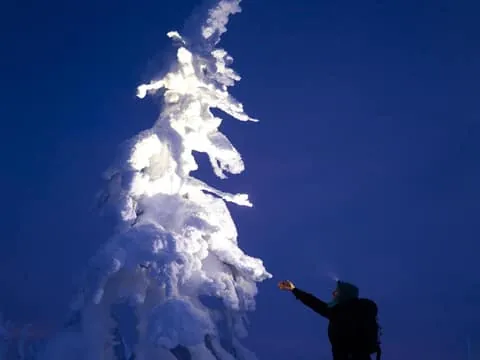 Skiing in Riisitunturi NP at Night & Wilderness Dinner