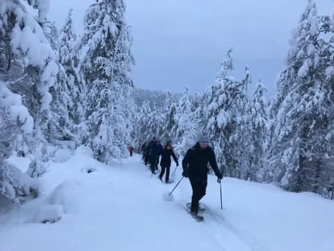 Pyhävaara Snowshoeing Tour