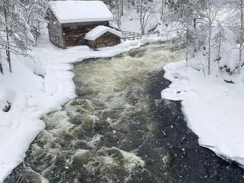 Oulanka National Park Snowshoeing Tour