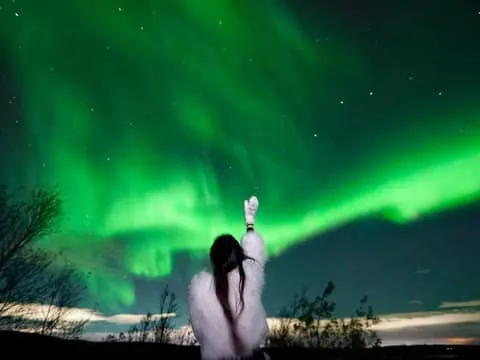 Rovaniemi Aurora Fire & Flavour – Arctic Gastronomy Tour