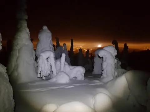 Arctic Night Snowshoeing – Stars and Northern Sky