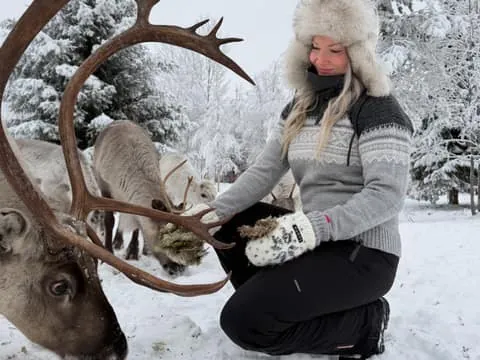 Private and authentic reindeer experience on a home farm