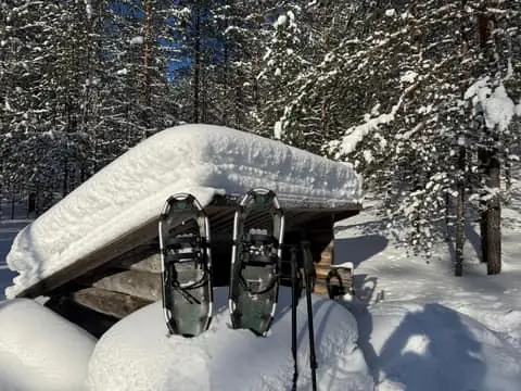 Guided Private Snowshoeing Tour with Hotel Pick-up