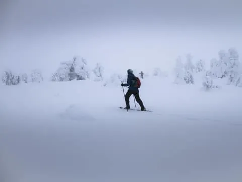 Snowshoeing Adventure with Warm Drinks