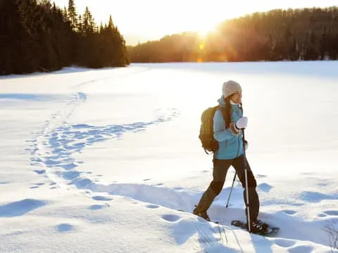 Levi: Snowshoeing Adventure with Warm Drinks
