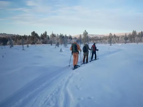 Muotkantunturi Park, Inari - Discovery tour on Arctic skis