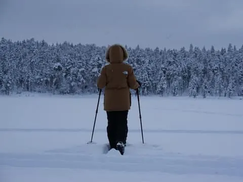 Muotkantunturi Park, Inari - Mini snowshoe expedition