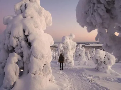 ⭐Rovaniemi: Riisitunturi Snow Monsters Tour & Campfire BBQ