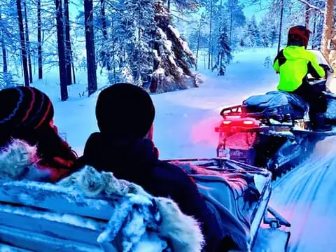 Snowmobile Sleigh Ride in Forest Entry Ticket