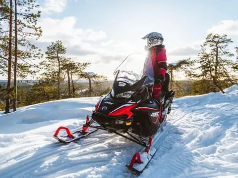 Snowmobile Adventure with Reindeer Encounter