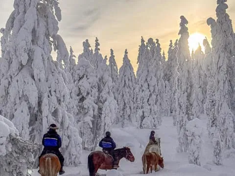 Horseback Ride & Lappish Lunch at Ranch