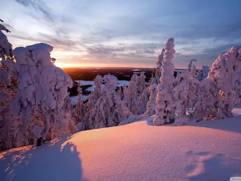 Lapland Arctic Scenery Road Trip + Lappish Lunch