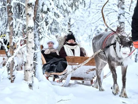 Levi: Reindeer Sleigh Ride 600m in Enchanting Forest