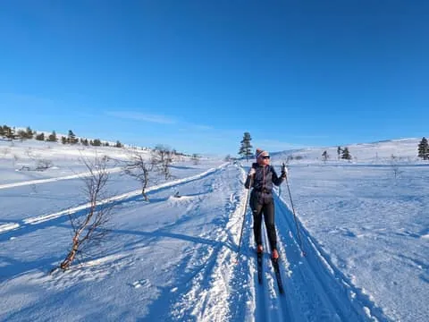 Guided Cross-Country Ski Tour