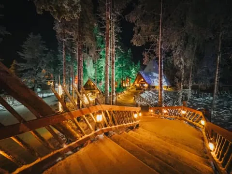 Santa Claus Village and Arktikum Tour with Lunch