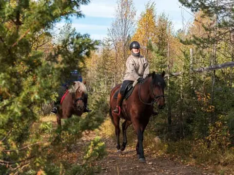 Ruka-Kuusamo: Relaxing riding with Finnhorses all year round