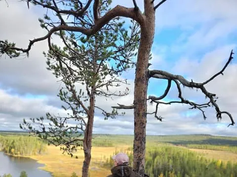 Guided Geocaching Adventure With Local Arctic Guide