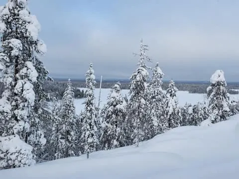 Niesi-Kivalo Wilderness Snowshoe Adventure