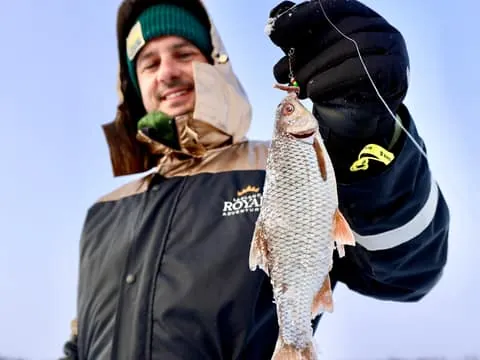 Guided Ice Fishing Experience & Karelian Pastries