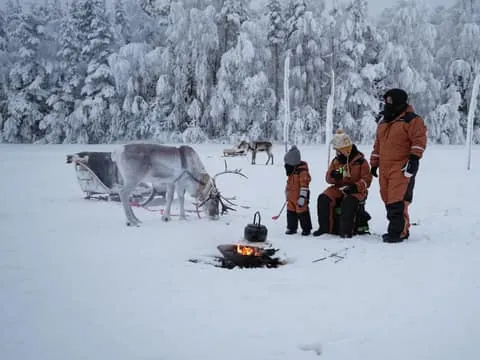 Ice Fishing With Reindeer