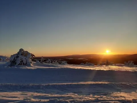 Levi: Arctic Mindfulness Walk at Kätkätunturi